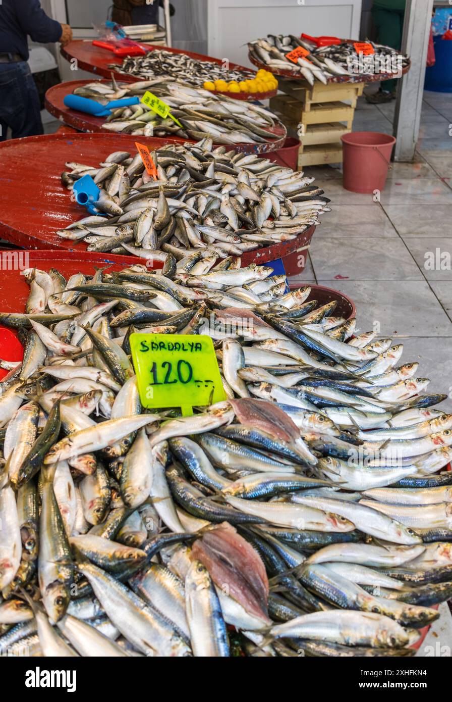 Bancarelle per il mercato del pesce con esposizione di sardine fresche. Foto Stock