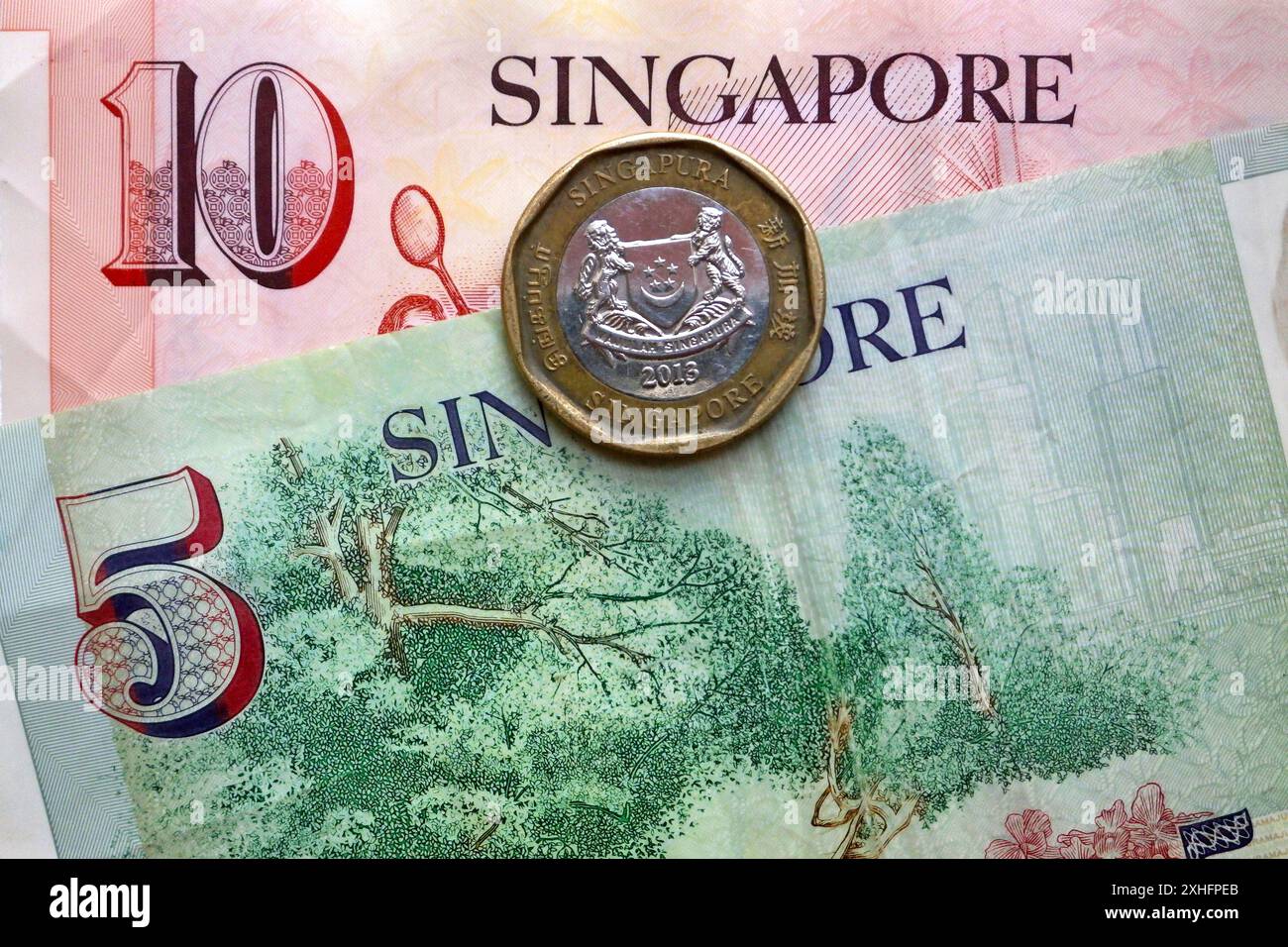 Moneta e banconote in dollari singaporiani come sfondo. Foto Stock