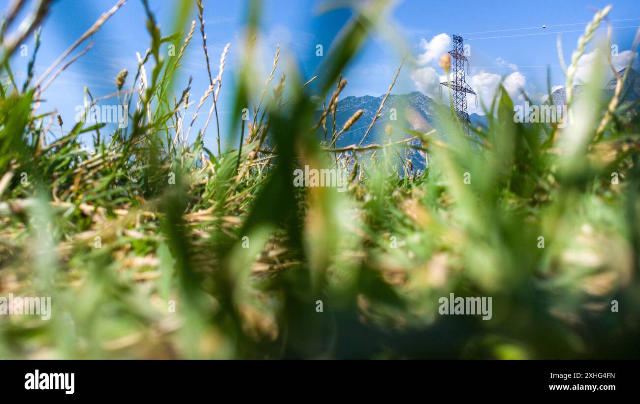 Nago-Torbole, Lago di Garda, Italia - 14 luglio 2024: Uno sguardo attraverso l'erba alta verso un pilone elettrico in un'area rurale, simboleggiando il tema dell'energia verde *** Ein Blick durch das alti Gras auf einen Strommast in einer ländlichen Gegend, Symbolisch für das Thema Grüne energie Foto Stock