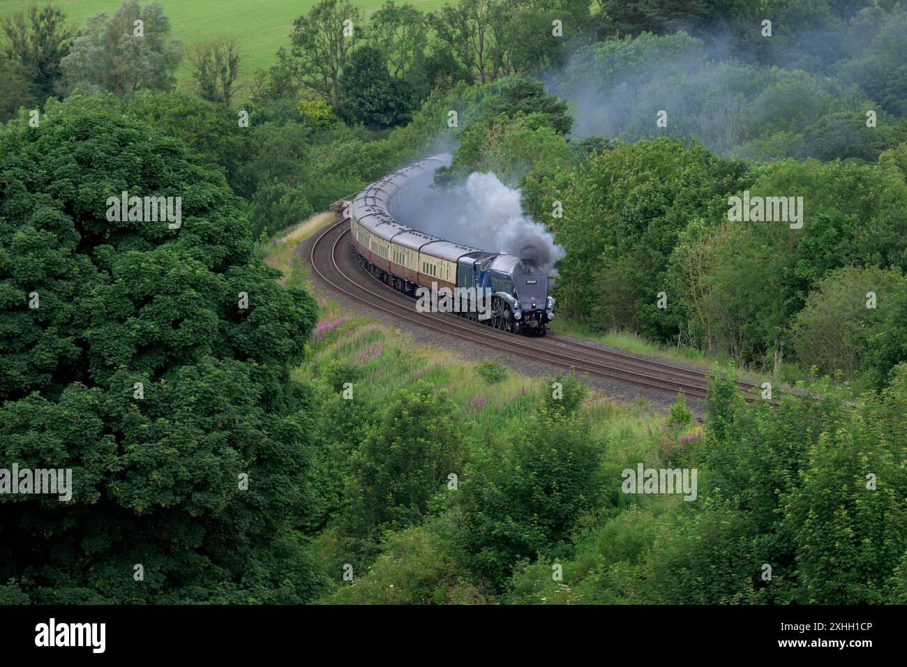 La locomotiva Sir Nigel Gresley trasporta il Settle e il Carlisle Fellsman attraverso la Cumbria, in direzione sud ad Armathwaite Corner. Foto Stock