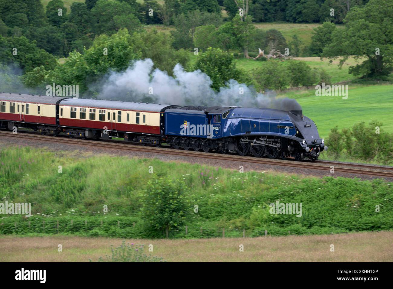 La locomotiva Sir Nigel Gresley trasporta il Settle e il Carlisle Fellsman attraverso la Cumbria, in direzione sud ad Armathwaite Corner. Foto Stock