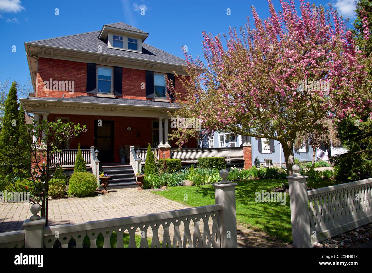 Esterno di una vecchia casa canadese con un albero di fiori di primavera di colore rosa Foto Stock