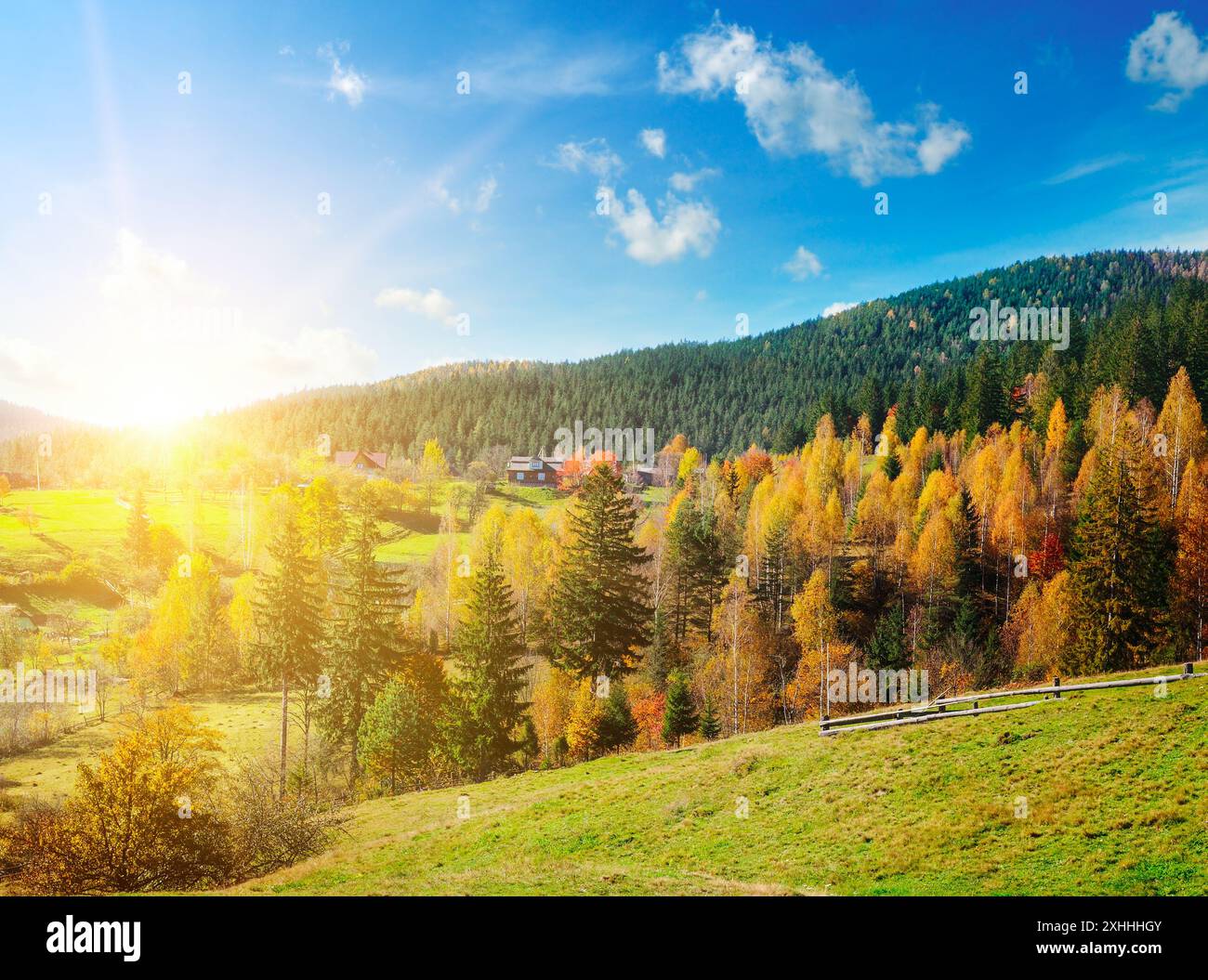 Splendido paesaggio montano con colorate foreste autunnali e vibrante tramonto. Il concetto è viaggiare. Foto Stock