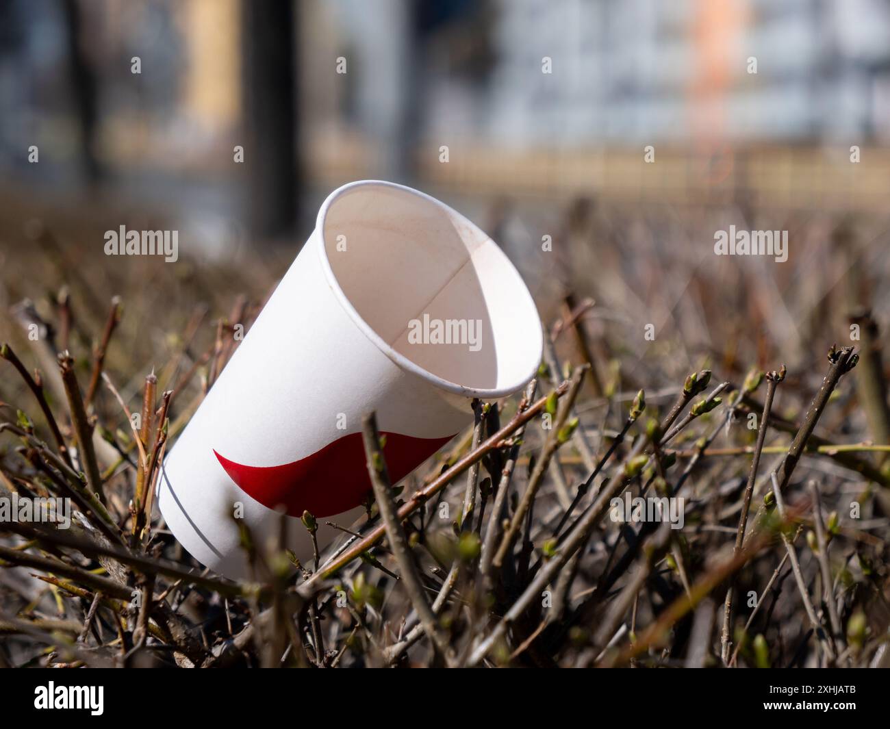 Tazza di carta generica gettata sul cespuglio, rifiuti e sporcizia nell'ambiente Foto Stock