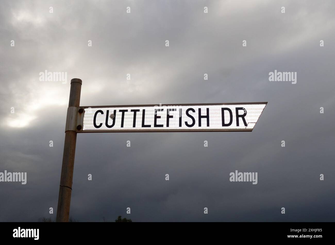 Cartello stradale per Cuttlefish Drive, vicino a Whyalla, Australia meridionale Foto Stock