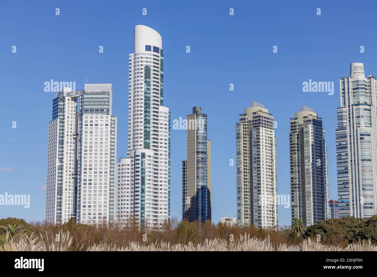 Edifici visti dalla riserva ecologica di Costanera Sur nella città di Buenos Aires. Foto Stock