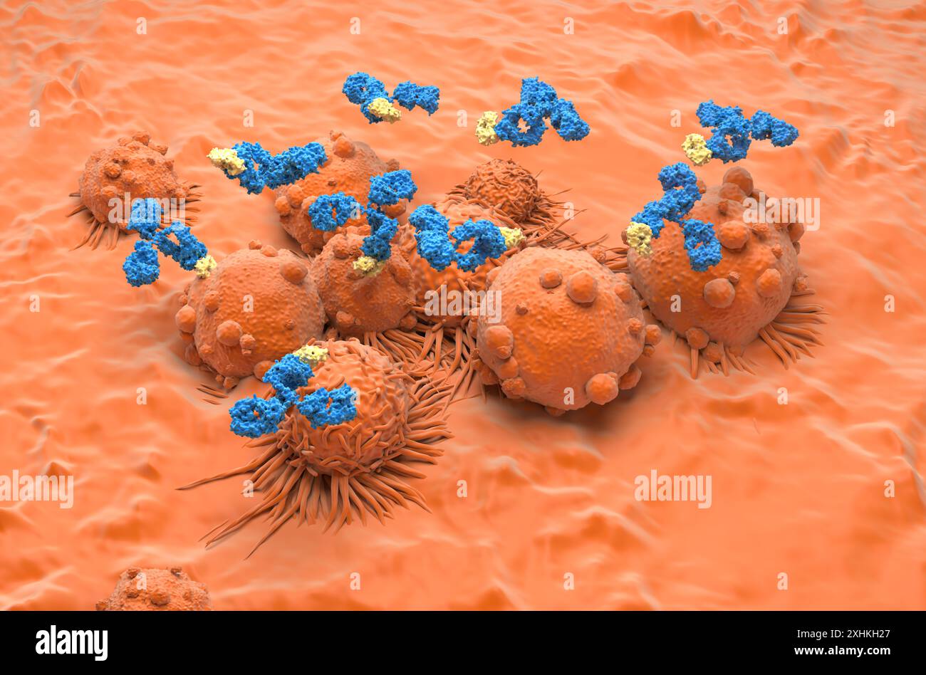 Trattamento con anticorpi monoclonali nel cancro ai reni - Vista isometrica illustrazione 3d. Foto Stock