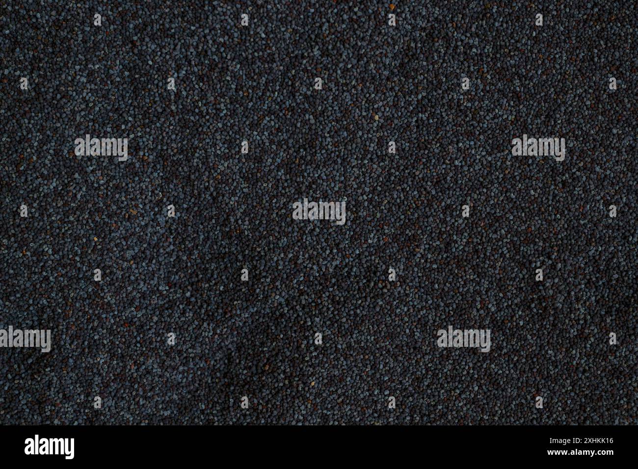 Pelo di semi di papavero, consistenza di semi crudi di Papaver somniferum come sfondo Foto Stock