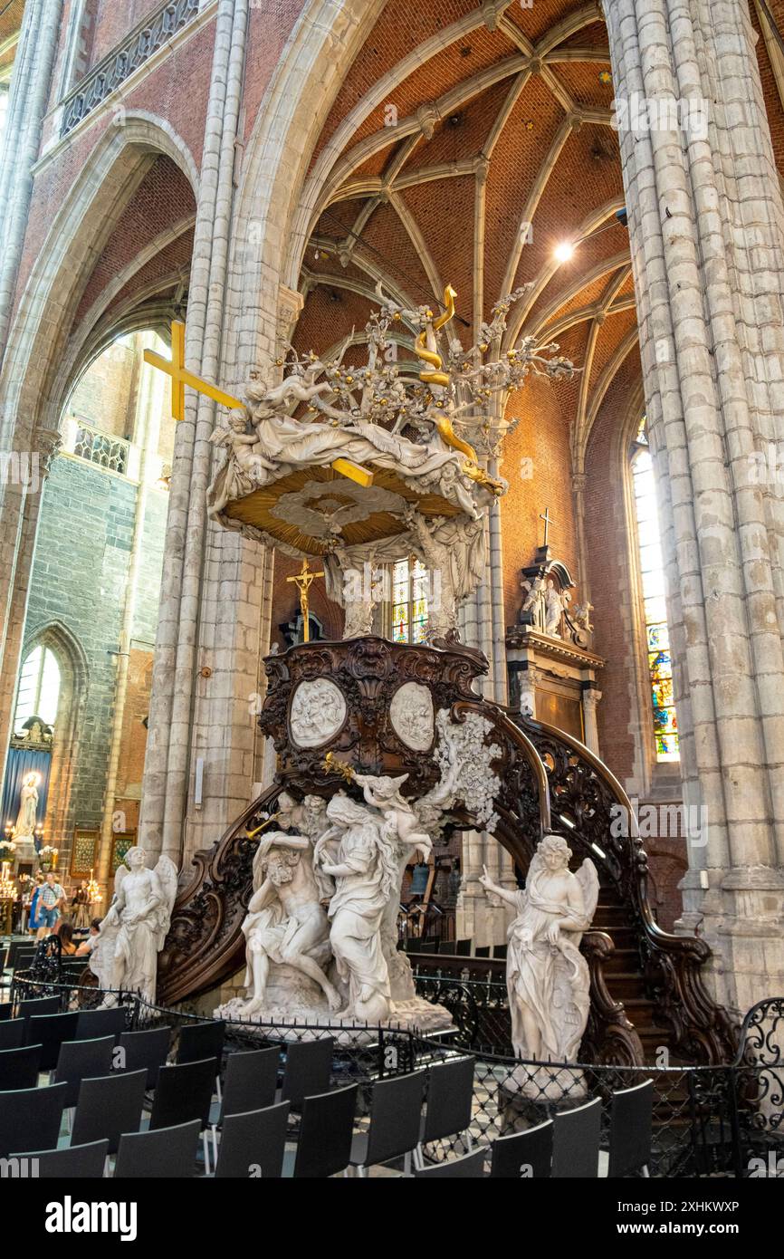 Belgio, Fiandre Orientali, Gand, Cattedrale di Saint Bavo Foto Stock
