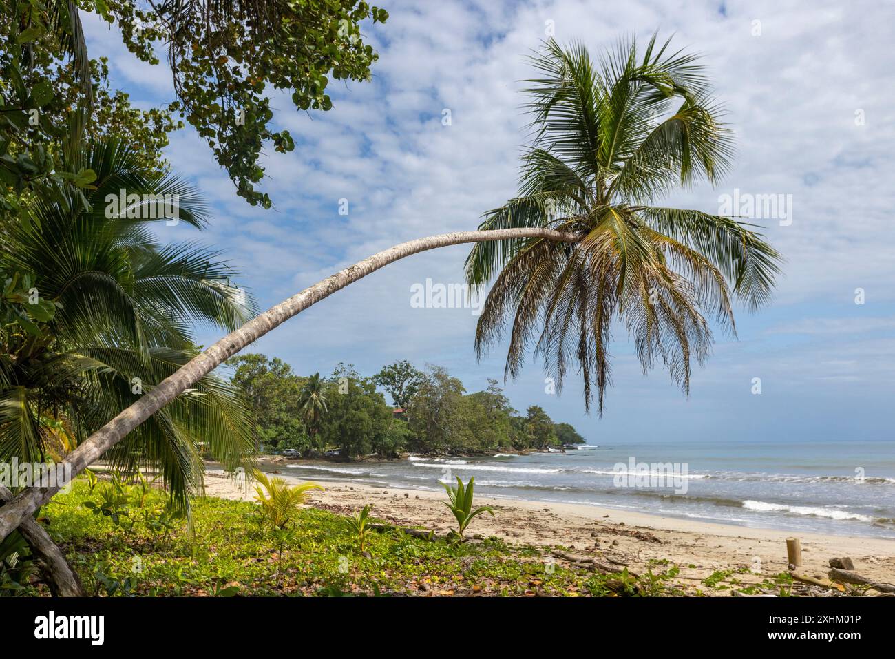 Costa Rica, Provincia di Limon, Parco Nazionale di Cahuita, la spiaggia Foto Stock