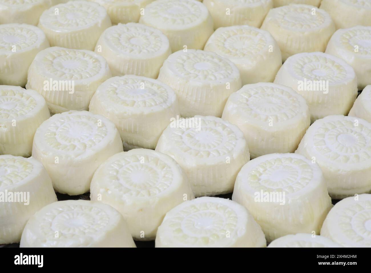 Malta, Haz-Zebbug, azienda agricola tal Karmnu, produzione di gbejna (formaggio di pecora locale) Foto Stock