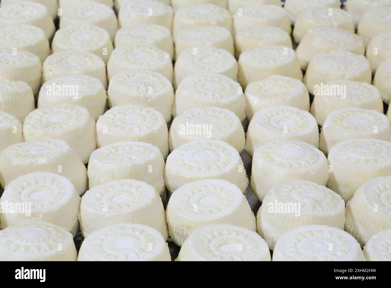 Malta, Haz-Zebbug, azienda agricola tal Karmnu, produzione di gbejna (formaggio di pecora locale) Foto Stock