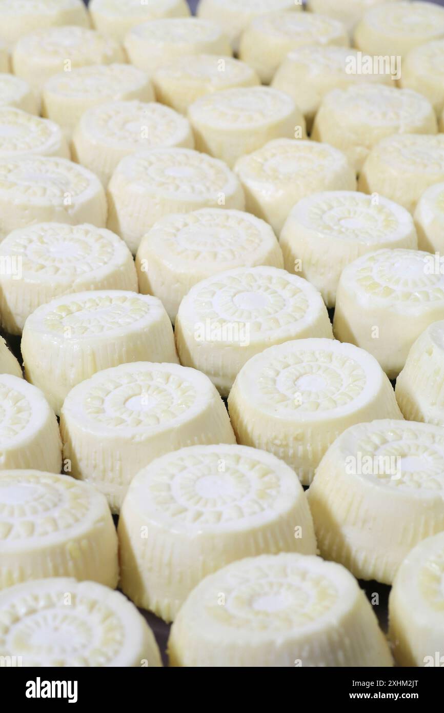 Malta, Haz-Zebbug, azienda agricola tal Karmnu, produzione di gbejna (formaggio di pecora locale) Foto Stock