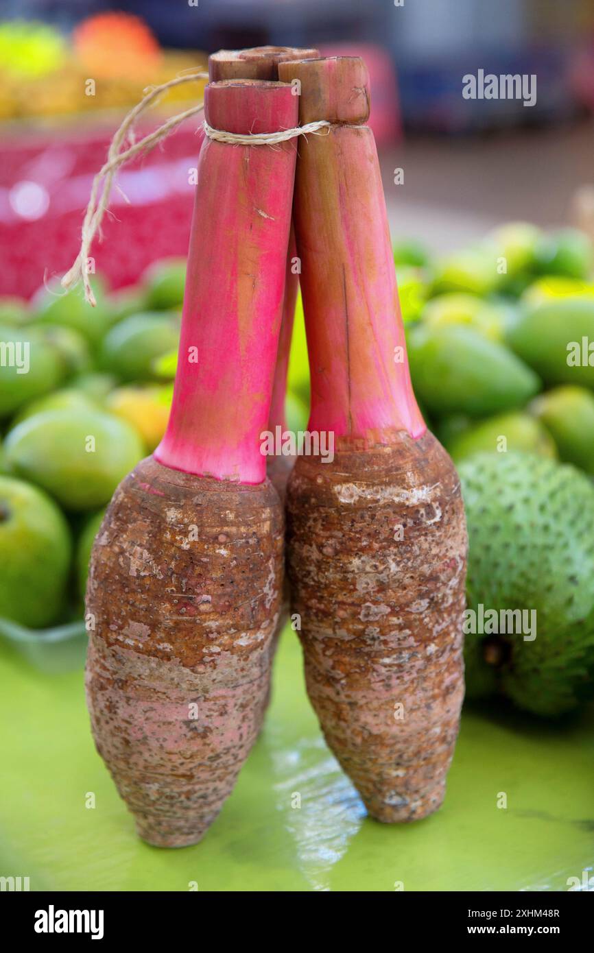 Polinesia francese, isola di Tahiti, Papeete, taro rosa, patate polinesiane, in una stalla nel mercato municipale Foto Stock