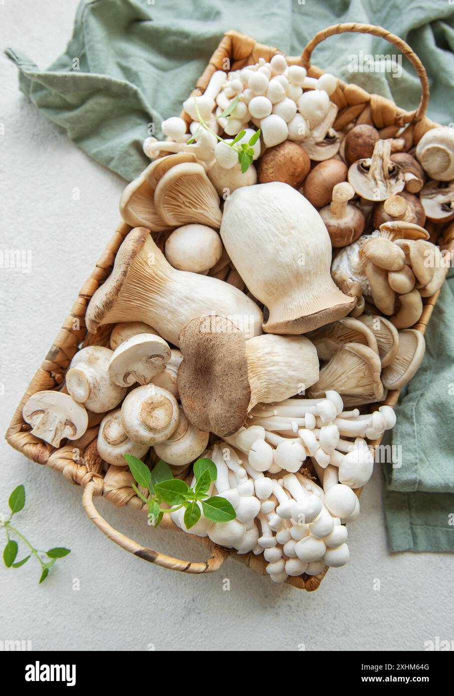 Assortimento di vari funghi grezzi su fondo in cemento grigio Foto Stock