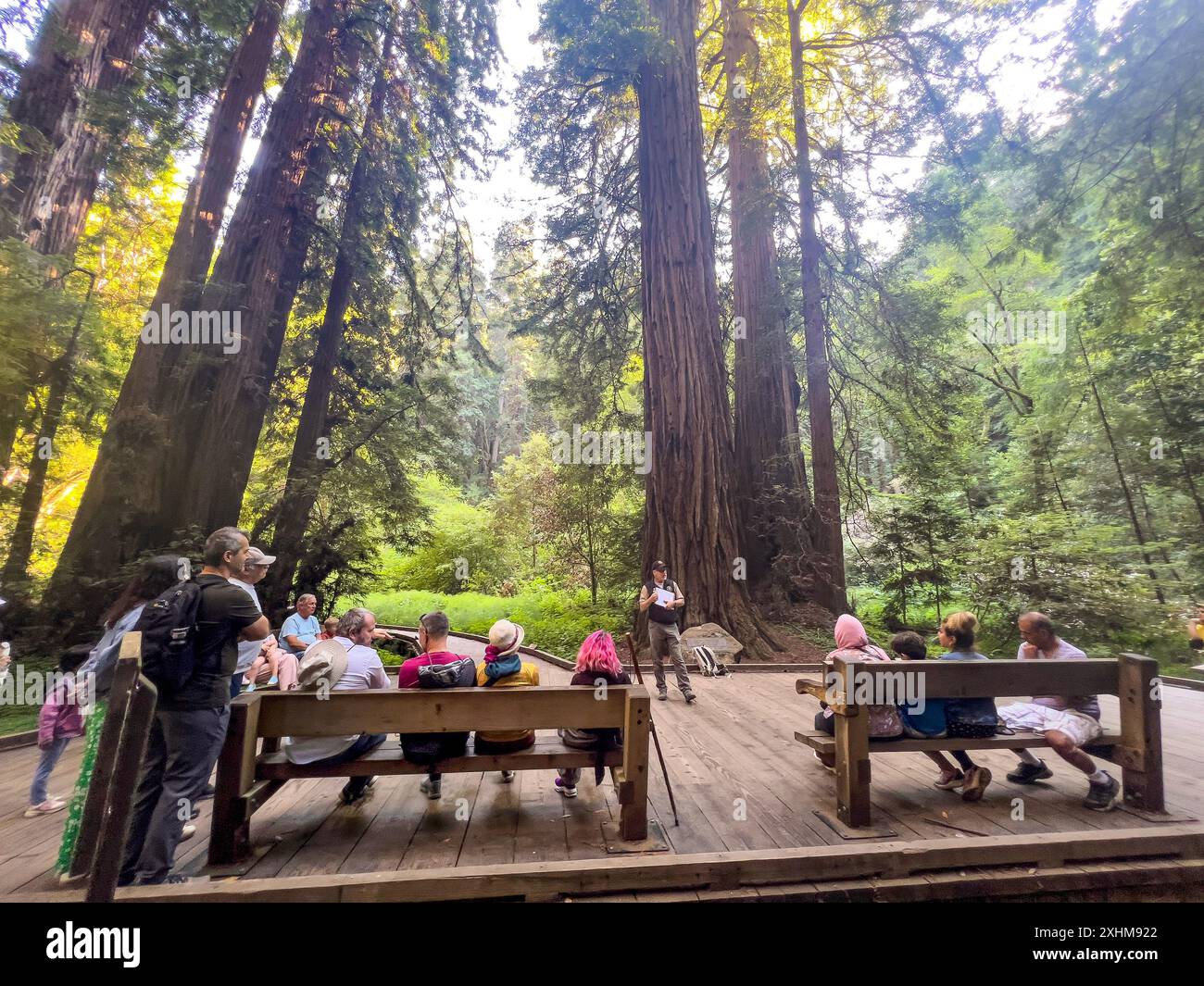 Il Muir Woods National Monument fa parte della Golden Gate National Recreation area della California, a nord di San Francisco. È noto per i suoi torreggianti alberi di sequoia di vecchia crescita. I sentieri si snodano tra gli alberi fino a Cathedral Grove e Bohemian Grove e lungo Redwood Creek. I sentieri Ben Johnson e Dipsea si arrampicano su una collina per ammirare le cime degli alberi, l'Oceano Pacifico e il Monte Tamalpais nell'adiacente Mount Tamalpais State Park. Cammina tra le antiche sequoie costiere, rinfrescando le radici nell'acqua dolce di Redwood Creek e sollevando le corone per raggiungere il sole e la nebbia. Protetto a livello federale come National Mon Foto Stock