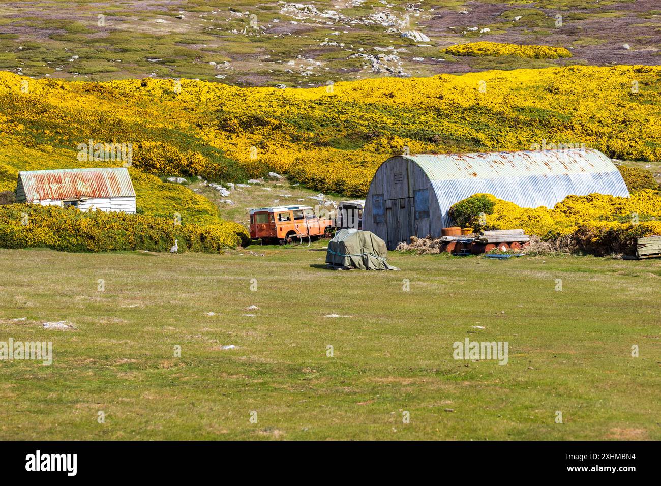 Capannone agricolo ondulato, West Point Island, Isole Falkland, domenica 3 dicembre, 2023. foto: David Rowland / One-Image.com Foto Stock
