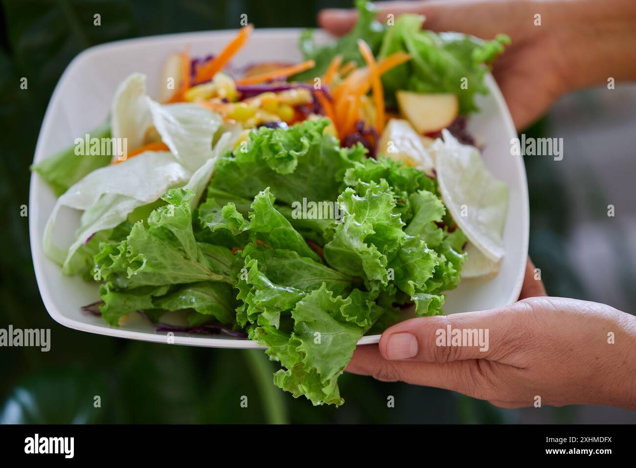 Mani tagliate che tengono l'insalata nel piatto Foto Stock