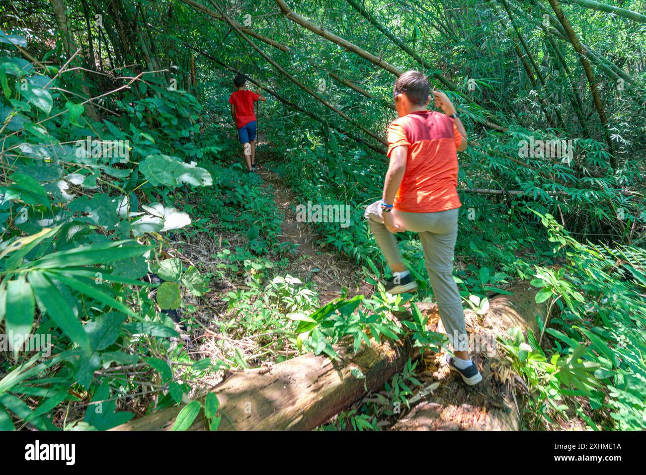 Ragazzi felici che si divertono a fare escursioni in una foresta tropicale, Thailandia Foto Stock