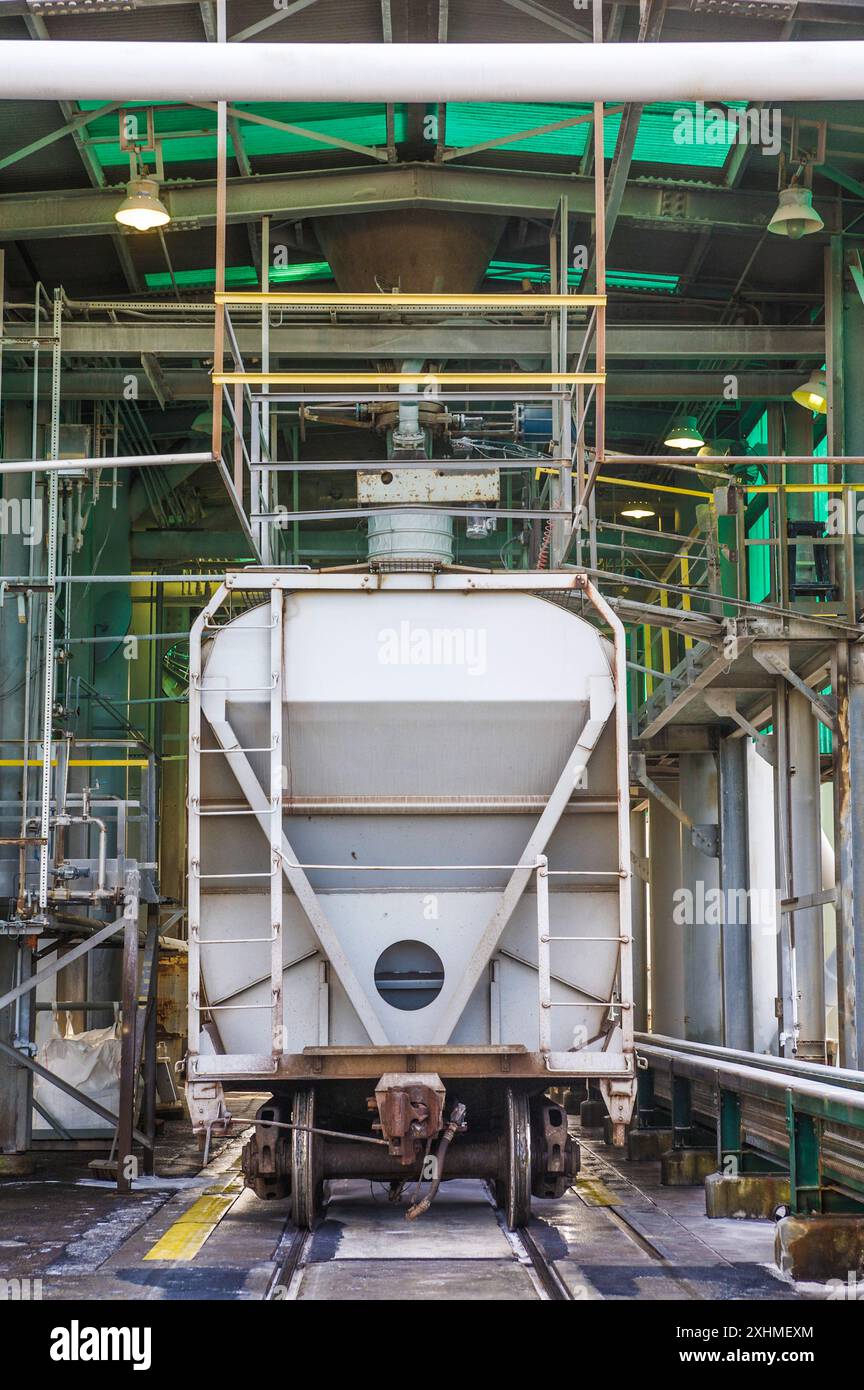 Vagoni ferroviari carichi di prodotti Foto Stock