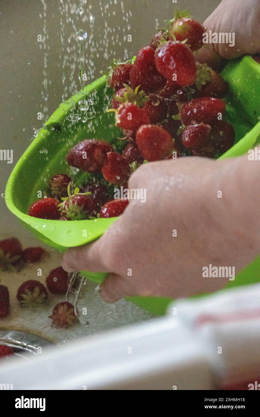 Sciacquare le fragole in un colino verde sotto l'acqua corrente Foto Stock