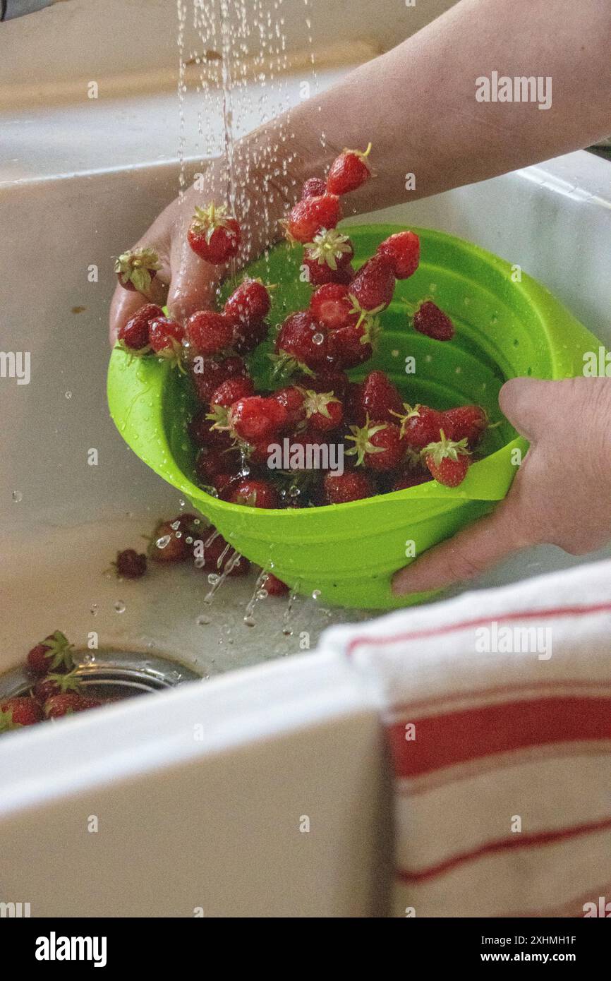 Sciacquare le fragole in un colino verde sotto l'acqua corrente Foto Stock
