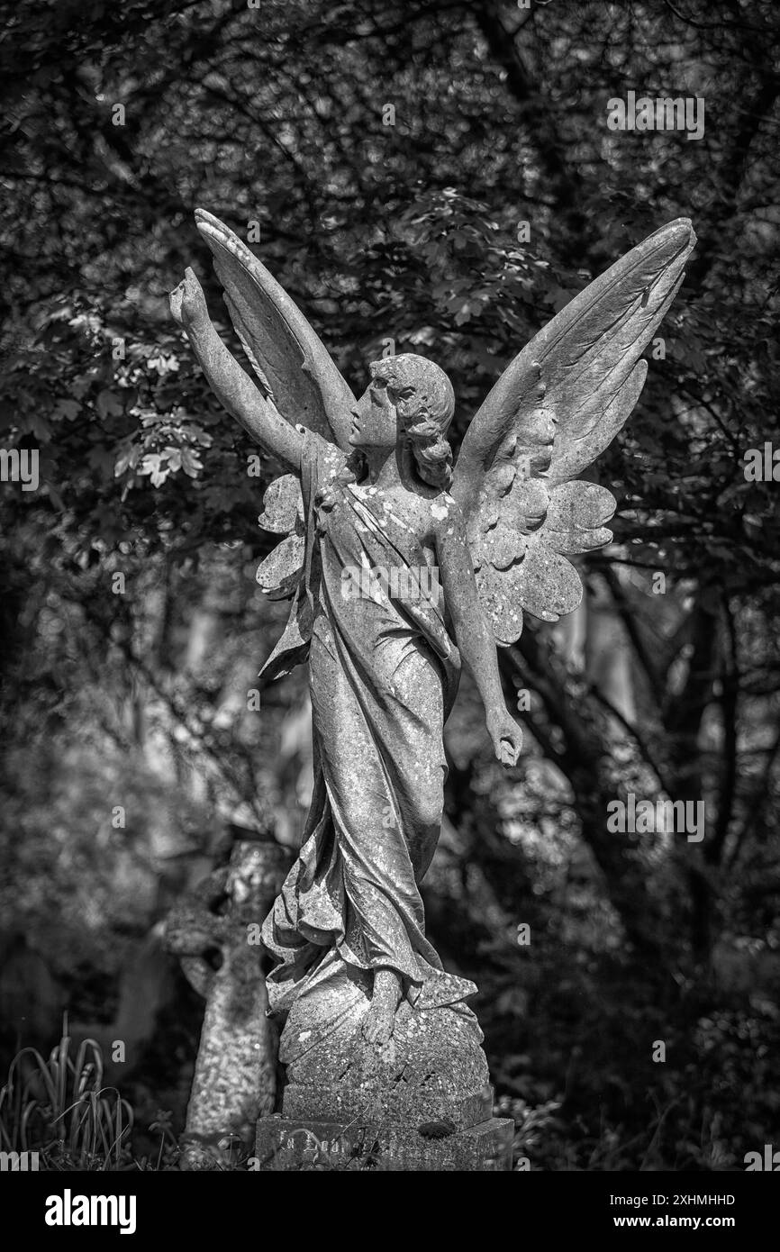 Il cimitero di Highgate, London, Regno Unito Foto Stock