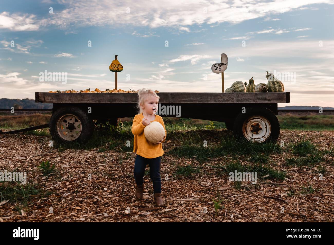 Bambina che tiene in mano la zucca bianca scelta dal banco della fattoria Foto Stock