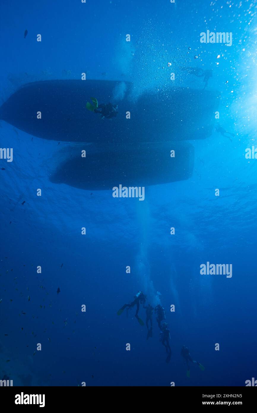 Egitto, Sharm El Sheikh, immersioni alla fermata di sicurezza Foto Stock