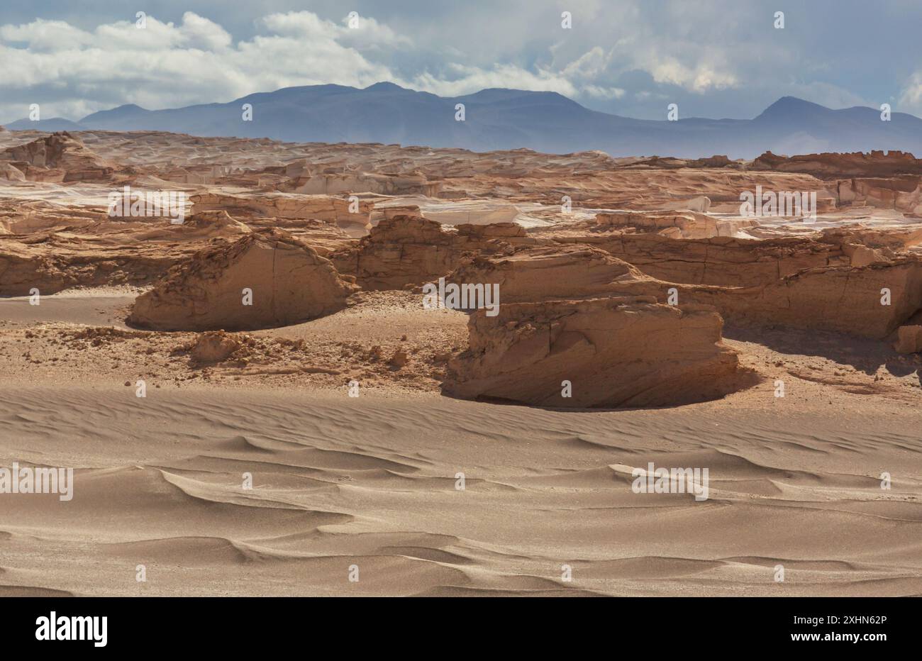 Fantastici paesaggi panoramici dell'Argentina settentrionale. Splendidi paesaggi naturali. Campo de Piedra Pomez vicino a Antofagasta de la Sierra, Puna. Foto Stock