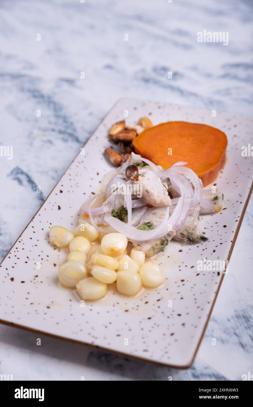 Ceviche un piatto tipico della gastronomia peruviana servito su sfondo marmorizzato con colori chiari. Foto Stock