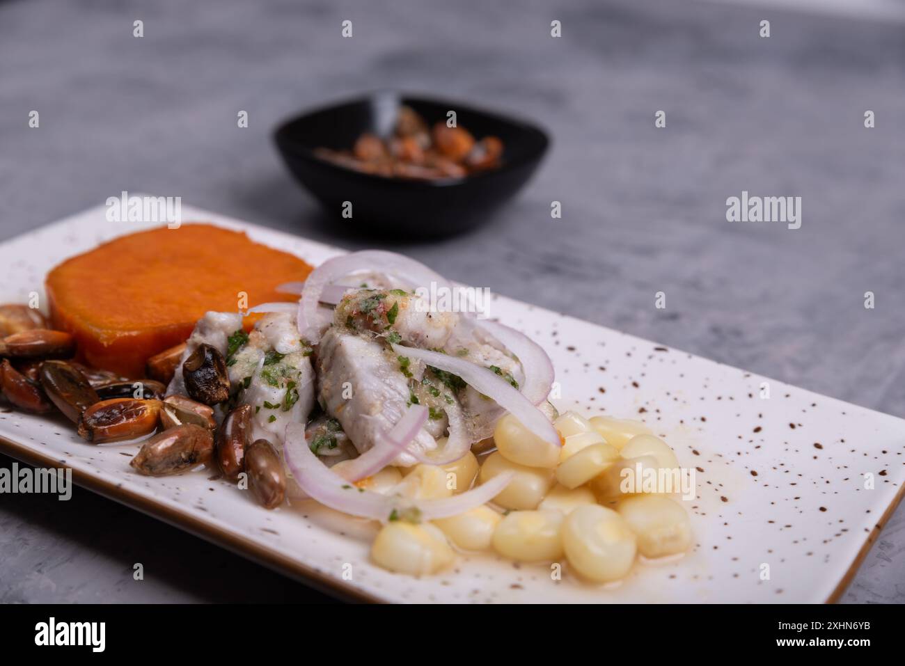 Primo piano di un piatto peruviano molto popolare chiamato Ceviche. Foto Stock