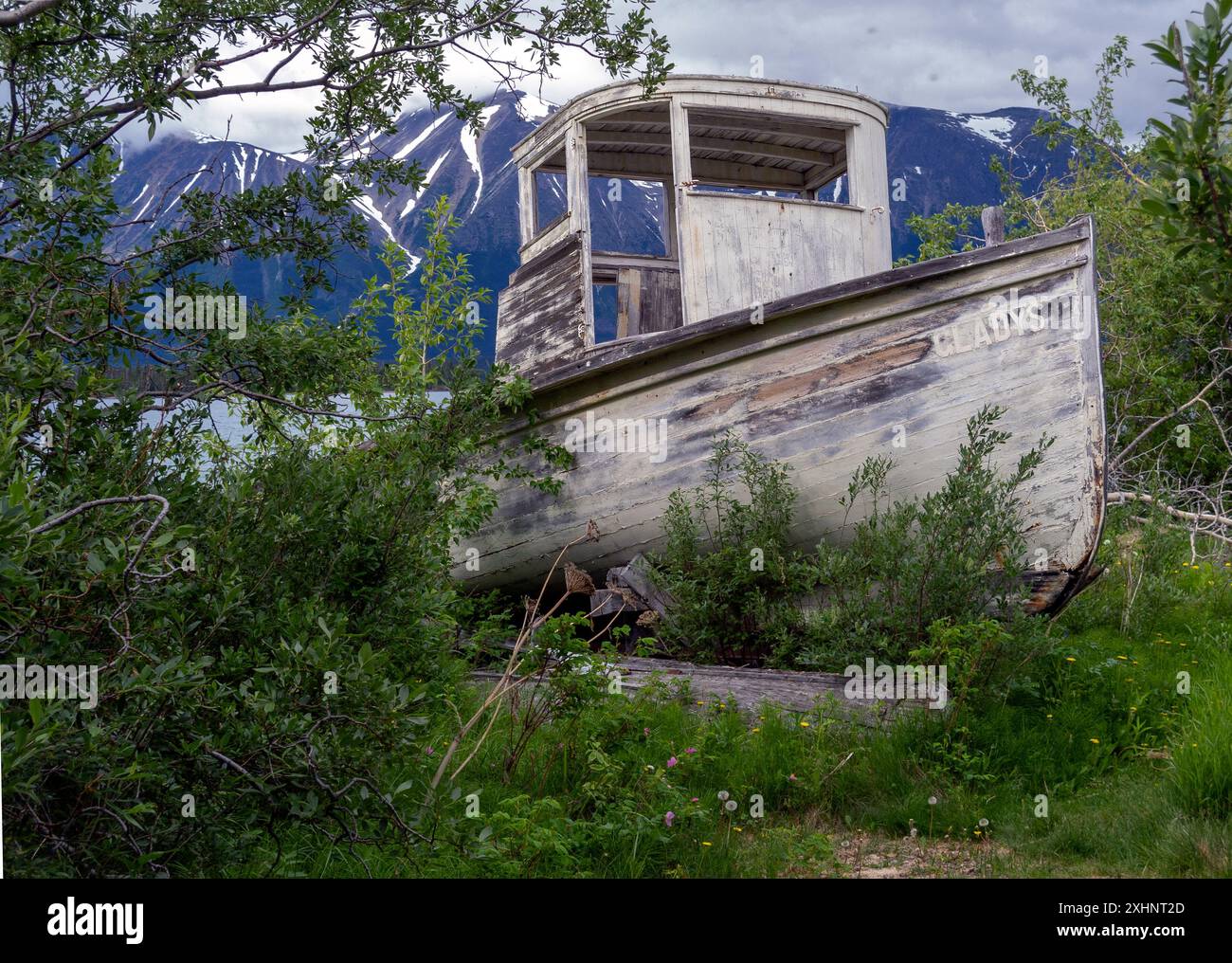 La storica Gladys, una barca abbandonata che fu utilizzata durante la corsa all'oro, situata ad Atlin, British Columbia, Canada. Foto Stock