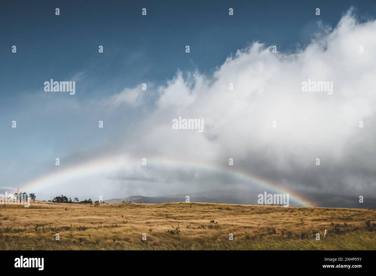 Rainbow panoramico alle Hawaii al tramonto Foto Stock