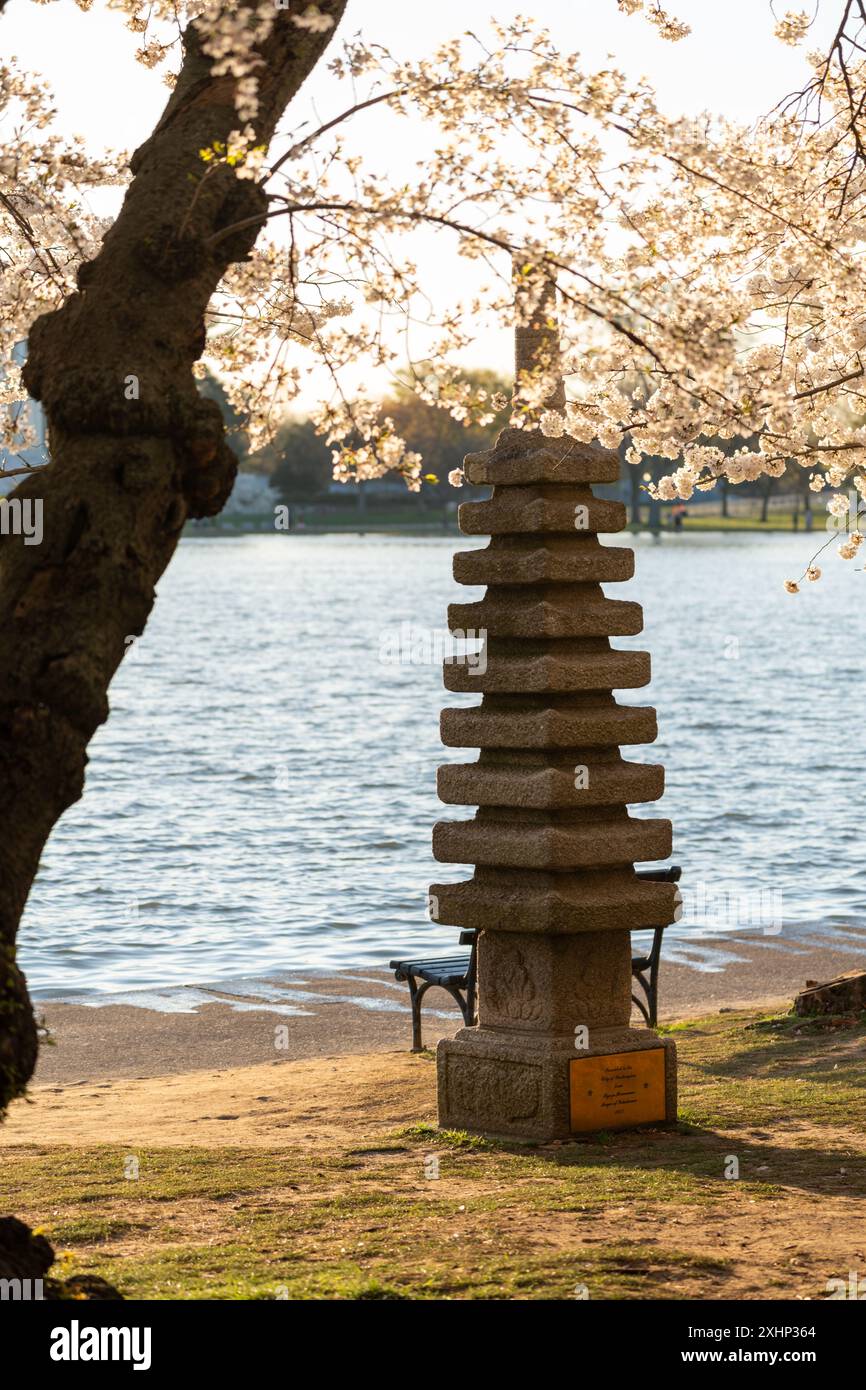 Primo piano della Pagoda giapponese al bacino delle maree di Washington DC durante la stagione della fioritura dei ciliegi Foto Stock