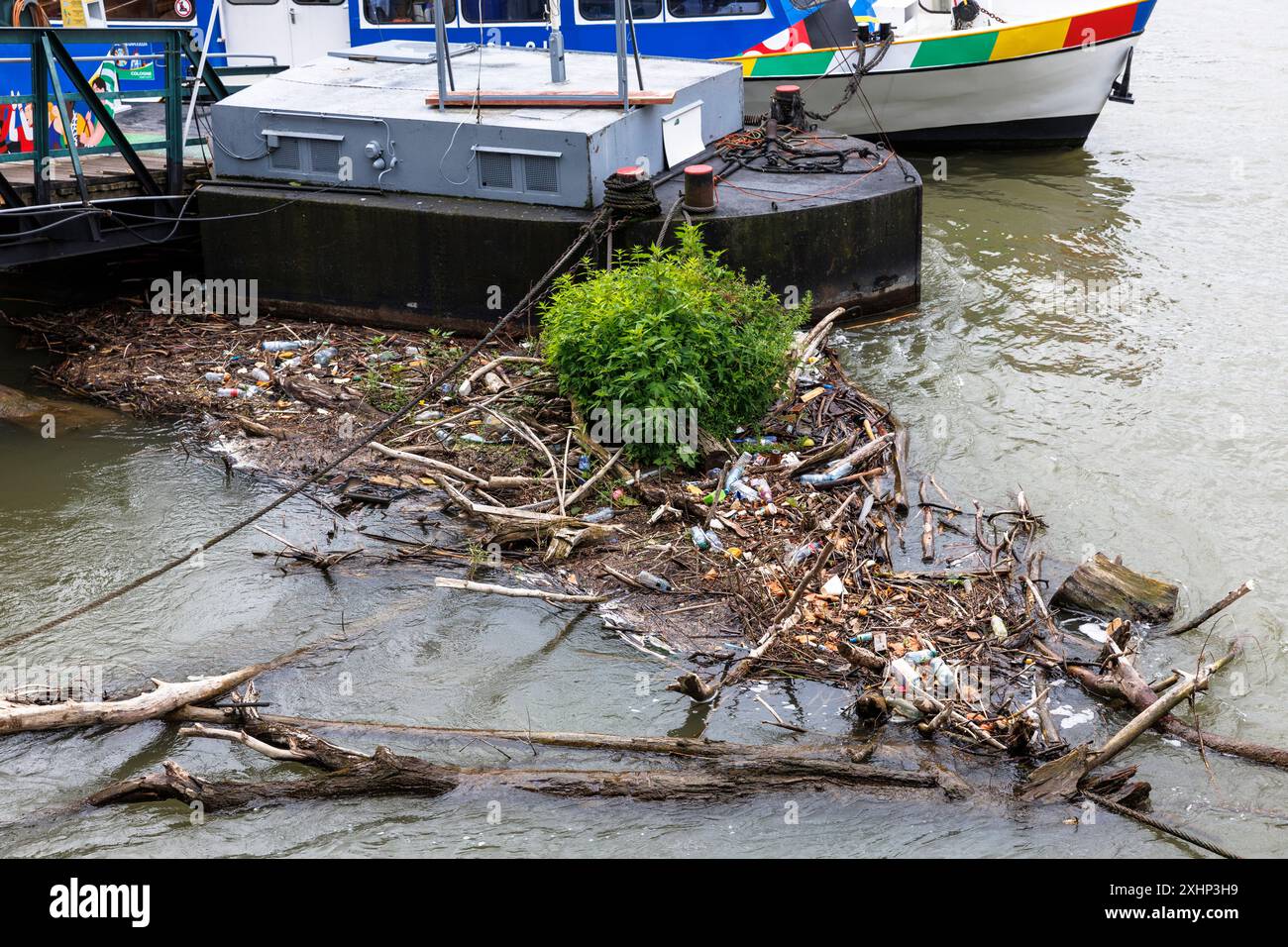 flotsam in un punto di atterraggio dopo l'alluvione del fiume Reno, Colonia, Germania. Treibgut an einem Schiffsanleger nach einem Hochwasser des Rheins, Koeln Foto Stock