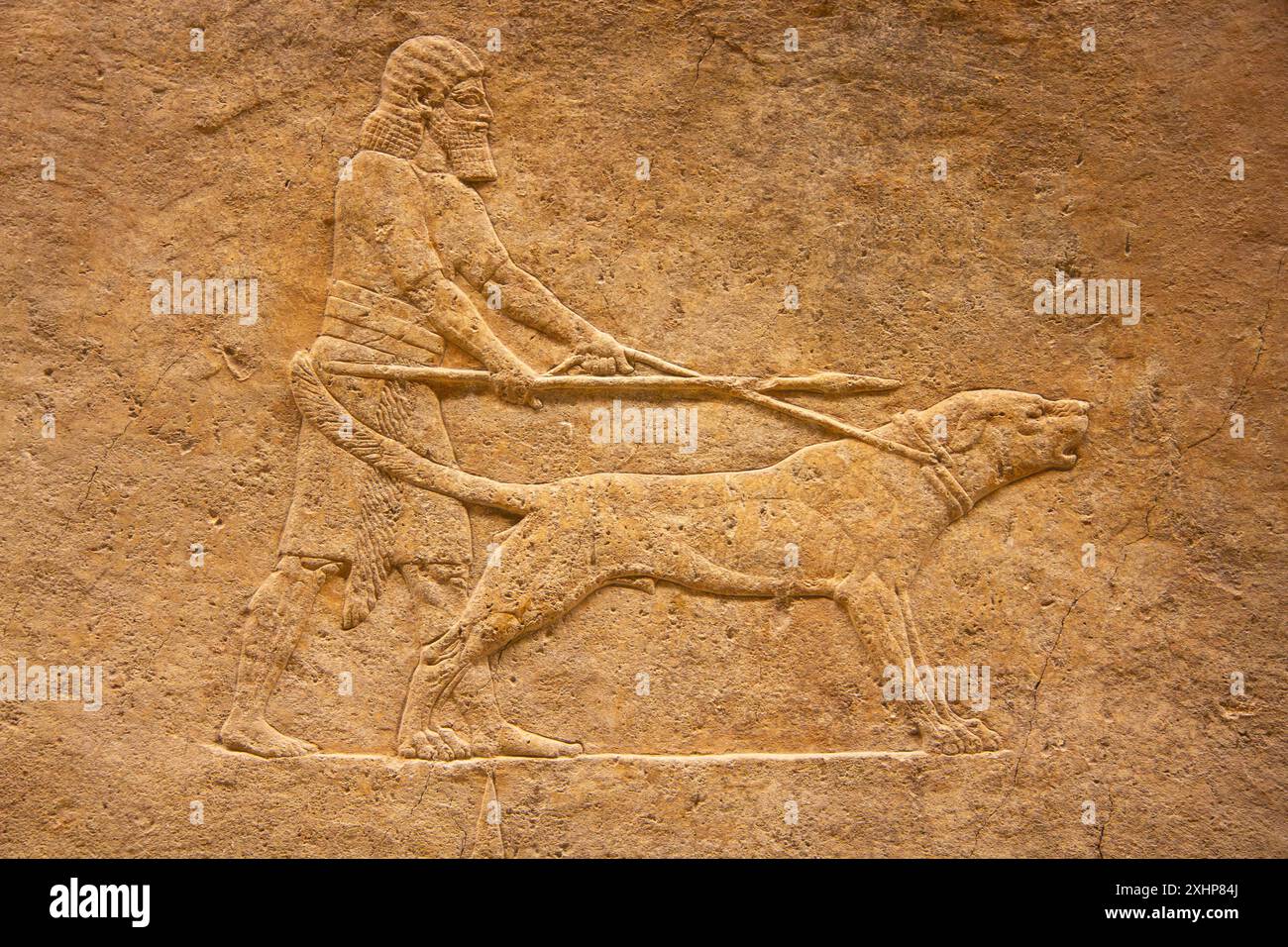 Un custode con un mastino ai margini della zona di caccia ai leoni. Fa parte della Lion Hunt di Ashurbanipal. British Museum, Londra, Inghilterra. Foto Stock