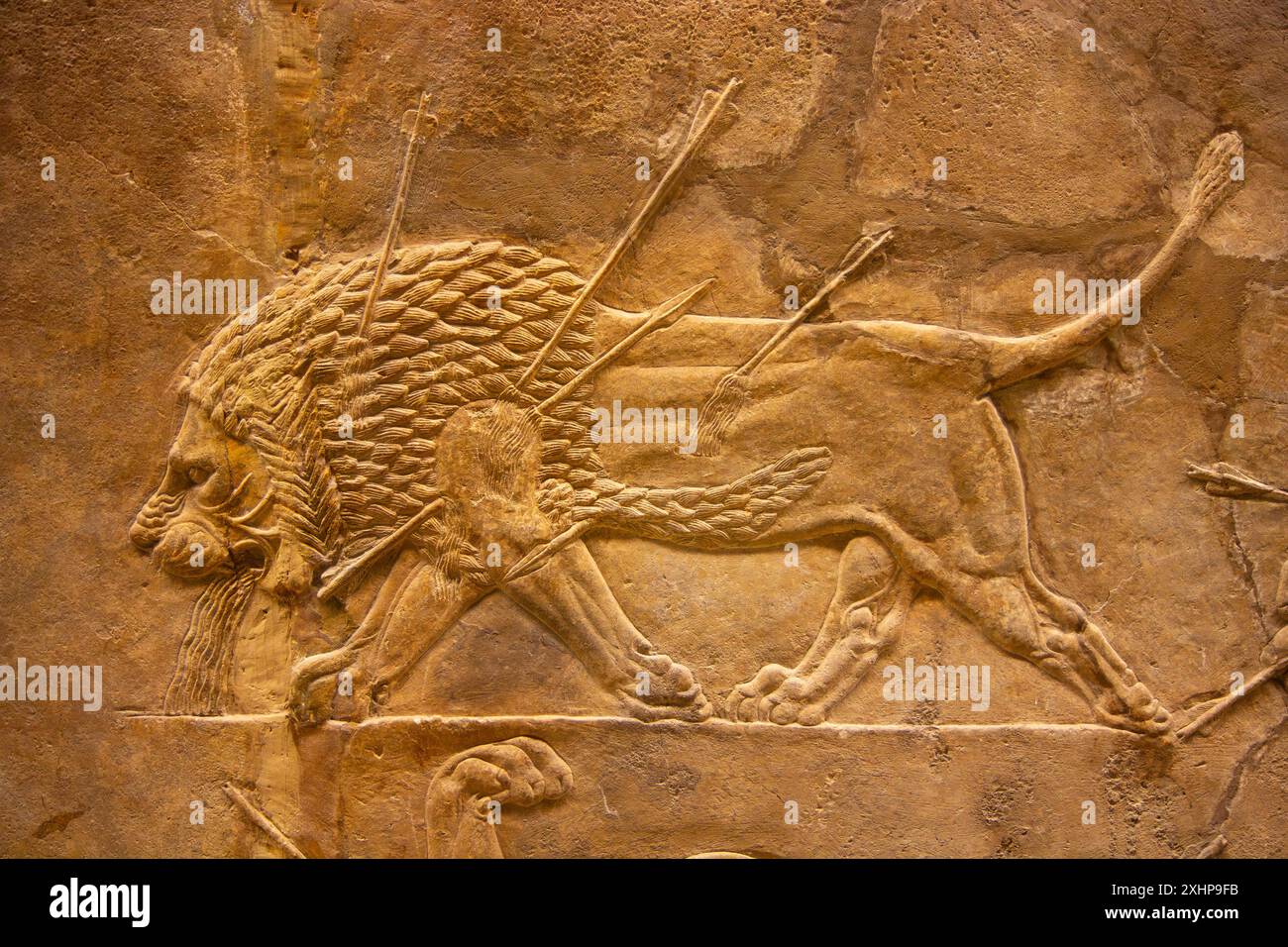 Leone morente. Lion Hunt di Ashurbanipal. British Museum, Londra, Inghilterra. Foto Stock