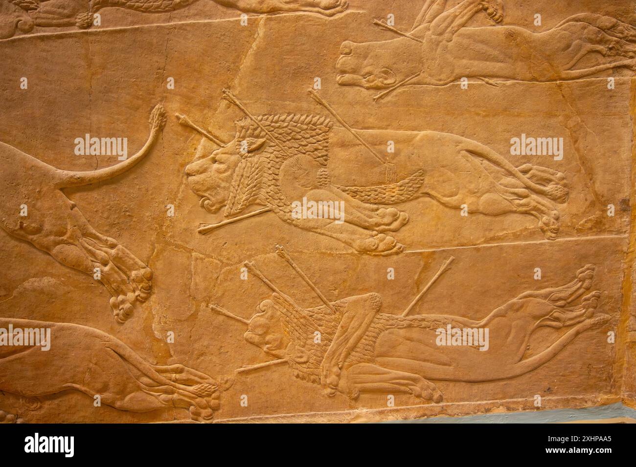 Lion Hunt di Ashurbanipal. British Museum, Londra, Inghilterra. Foto Stock