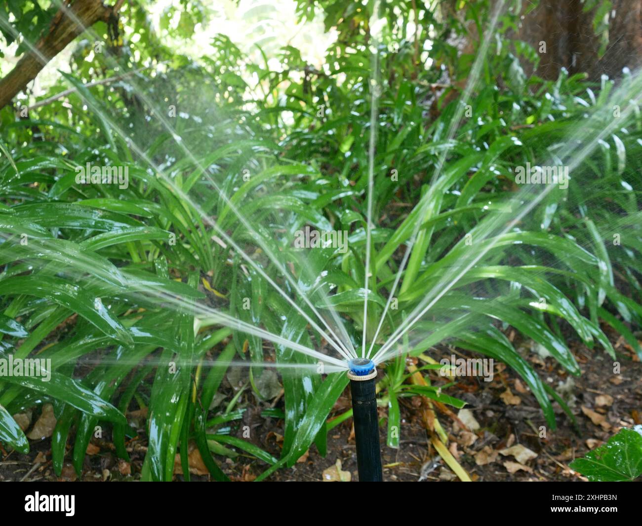 Impianto di irrigazione impianti di irrigazione nel Parco di Malaga. Le carenze idriche dovute alla siccità sono un problema in molte zone della Spagna. Malaga, Andalusia, Spagna Foto Stock