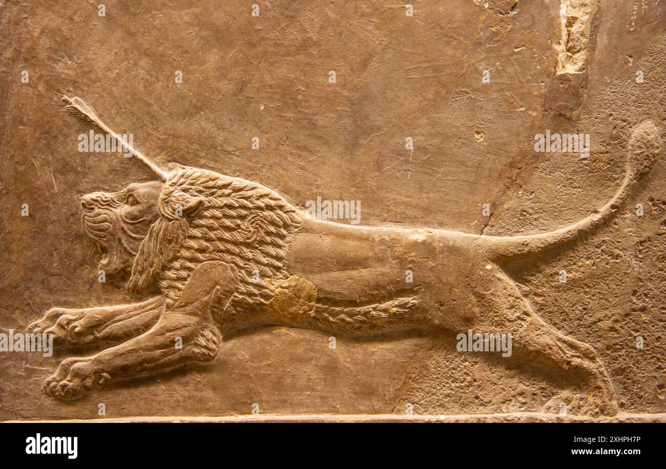 Lion Hunt di Ashurbanipal. British Museum, Londra, Inghilterra. Foto Stock