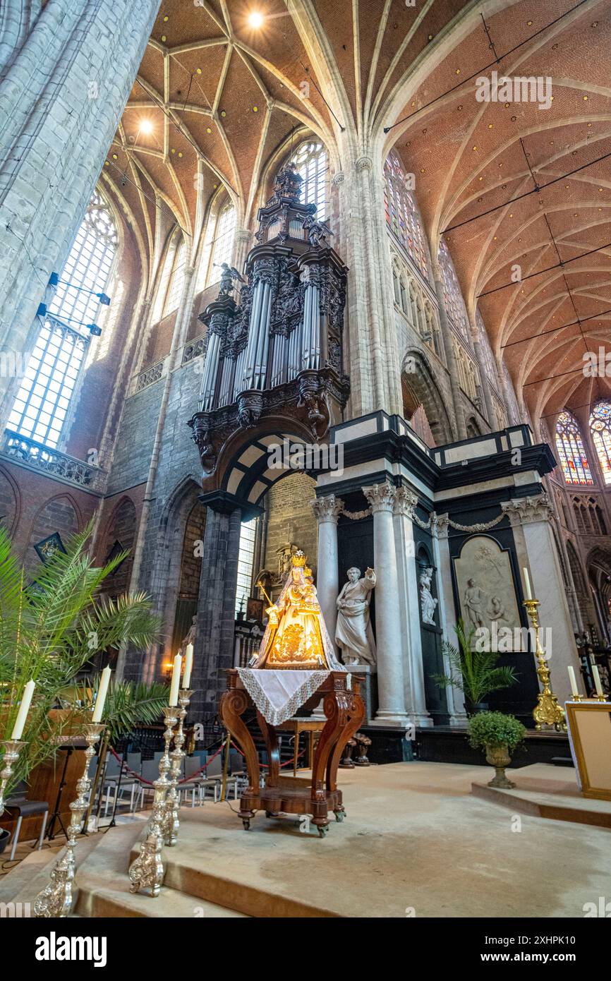 Belgio, Fiandre Orientali, Gand, Cattedrale di Saint Bavo Foto Stock