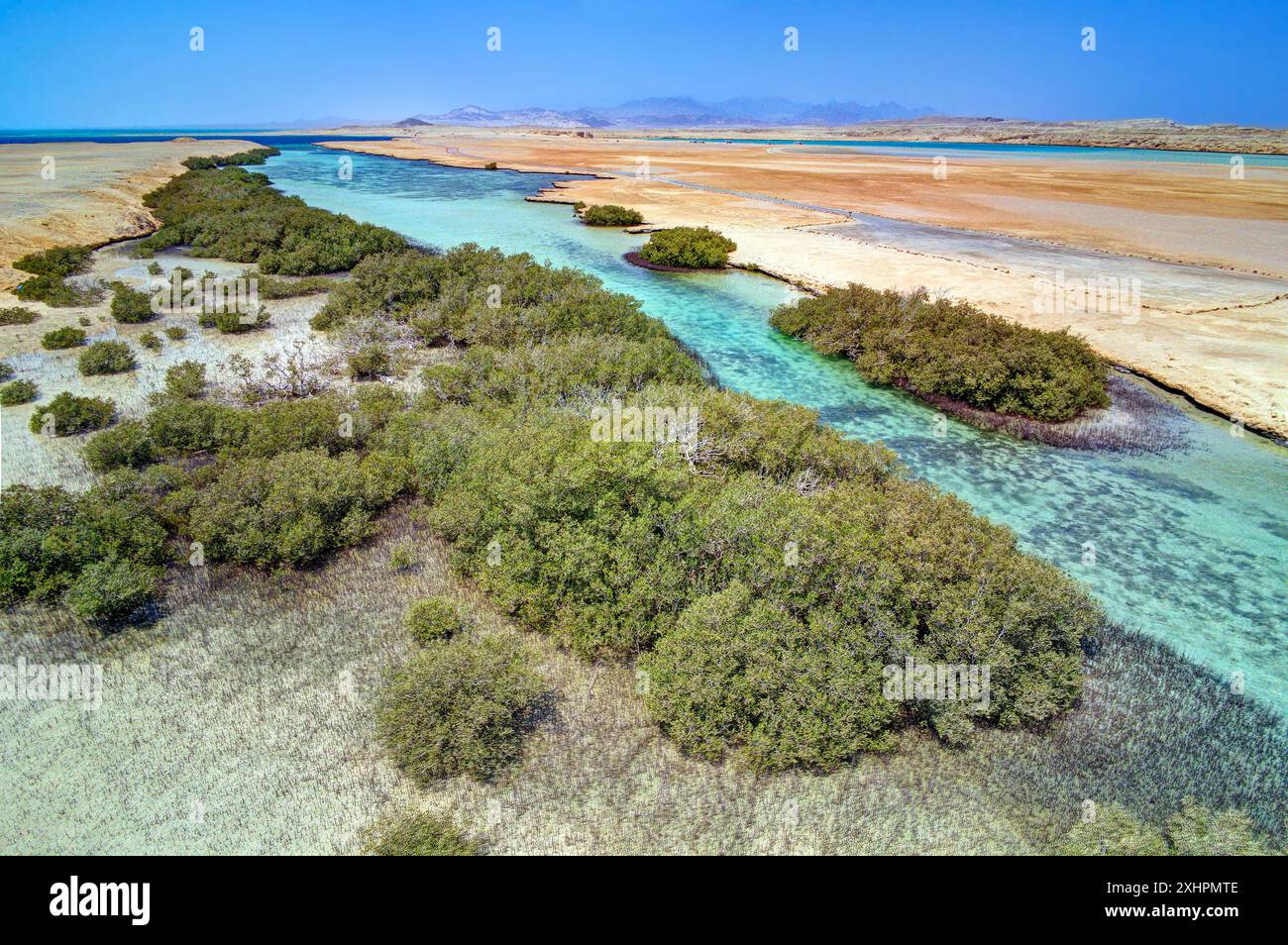 Egitto, Sinai, Sharm-el-Sheikh, Parco nazionale di Ras Mohammed, il chanel dei Mangroves (vista aerea) Foto Stock