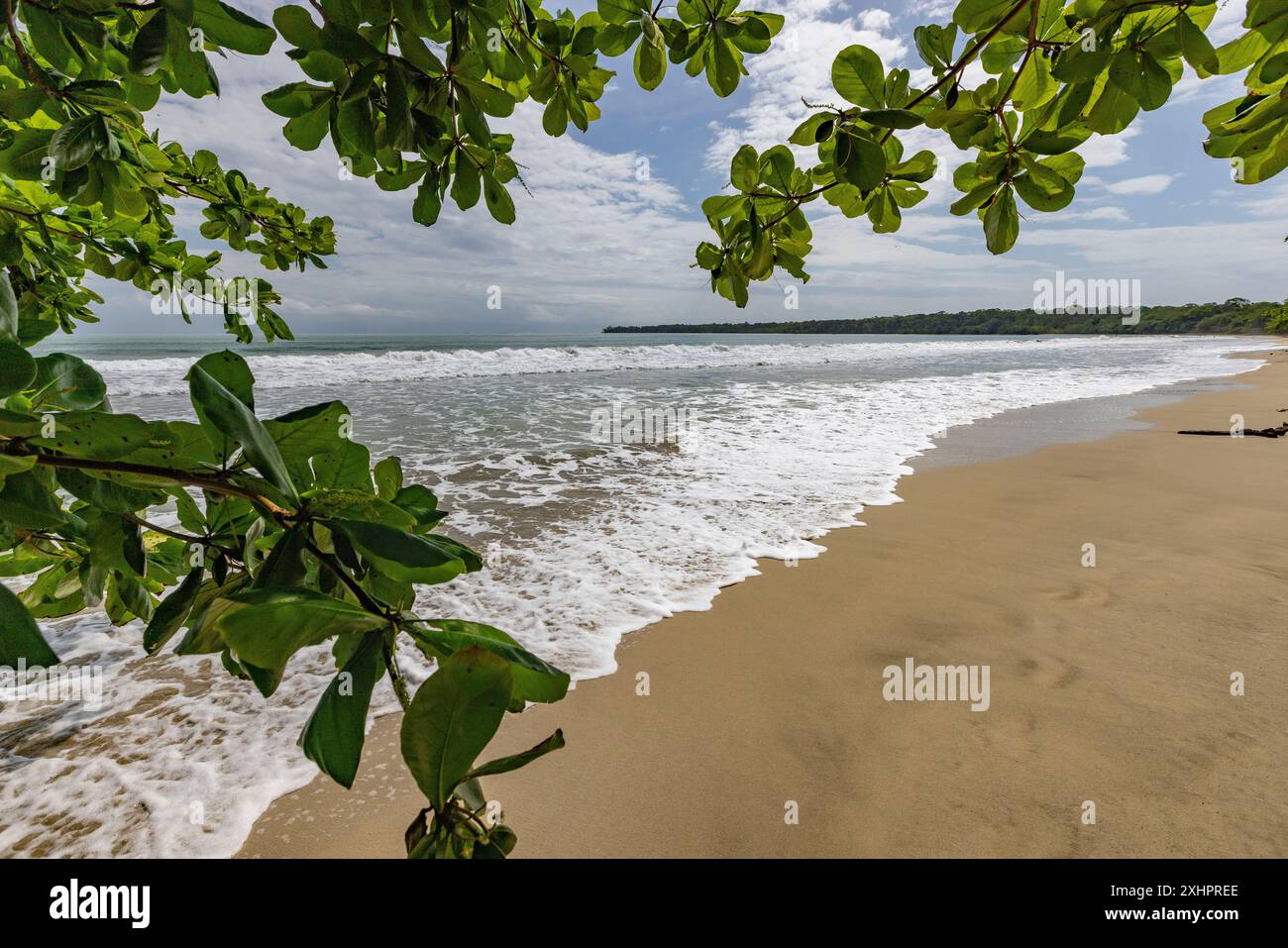 Costa Rica, Provincia di Limon, Parco Nazionale di Cahuita, la spiaggia Foto Stock