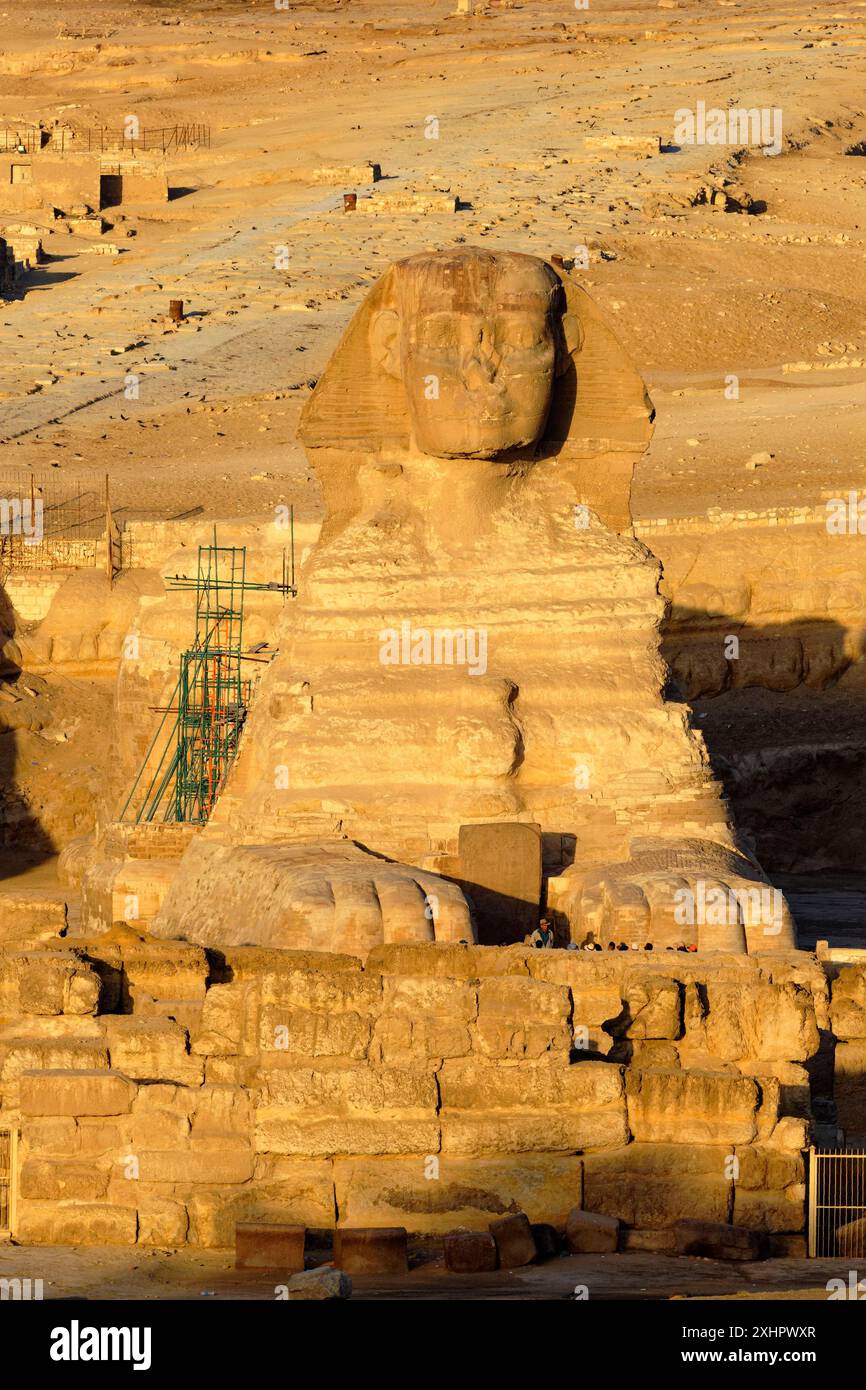 Egitto, Cairo, Giza, patrimonio mondiale dell'UNESCO, la Sfinge Foto Stock