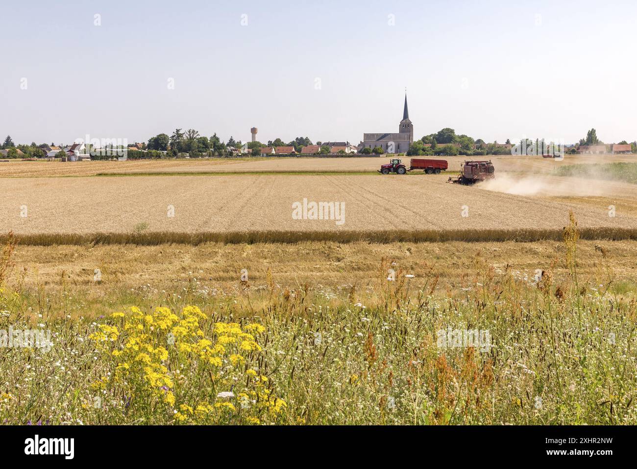 Francia, Loiret, Valle della Loira Patrimonio Mondiale dell'Umanita' dall'Unesco, percorso ciclabile della Loira, Loira in bicicletta, Darvoy Foto Stock