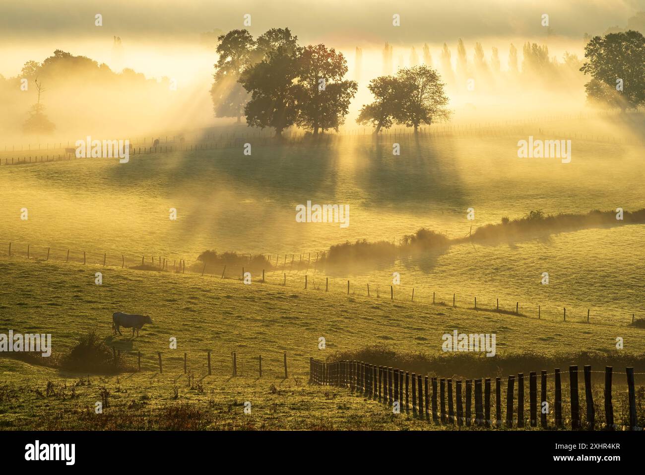 Francia, Pirenei Atlantici, Ostabat-ASME, tappa sulla via Lemovicensis o Vezelay, una delle vie principali per Santiago de Compostela Foto Stock