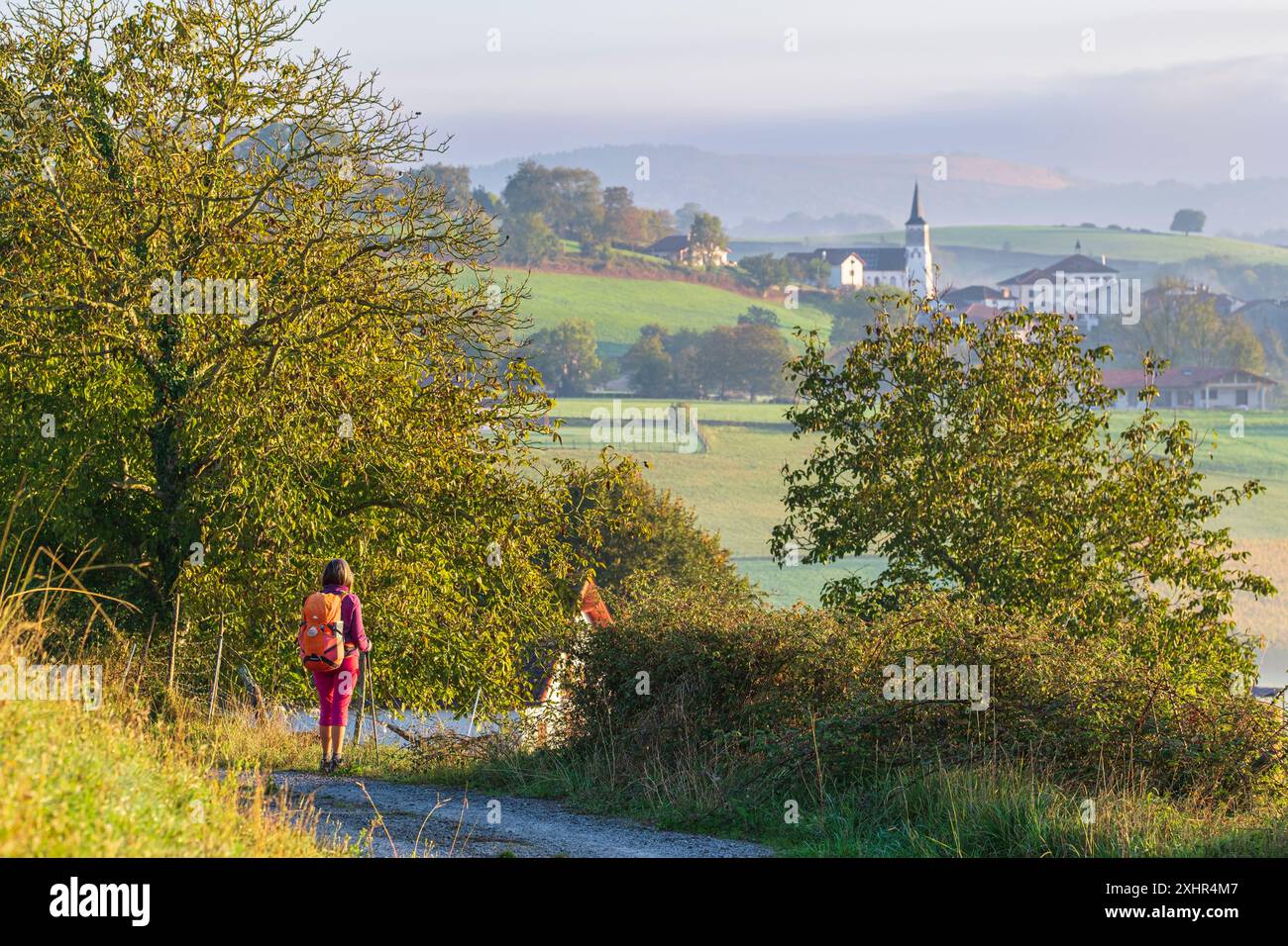 Francia, Pirenei Atlantici, Ostabat-ASME, escursione sulla via Lemovicensis o Vezelay, uno dei modi principali per Santiago de Compostela Foto Stock