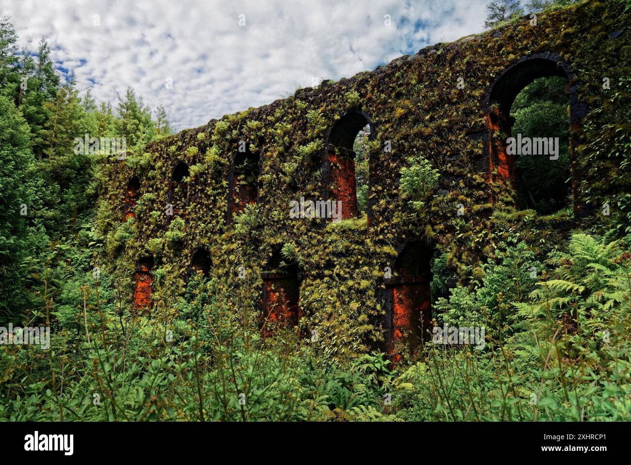 Storico acquedotto coperto di muschio muro das nove Janelas con 9 finestre ad arco nel mezzo della foresta, sentiero escursionistico circolare del cratere, Caldeira das Foto Stock