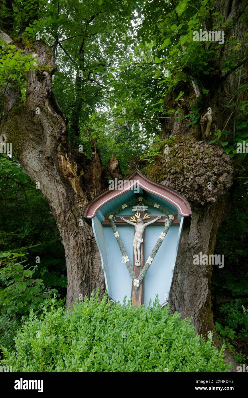 Traversata, croce, religione, fede, pedemontane alpine, Alpi, montagne, montagna, Lenggries, valle dell'Isar, Isar, Isarwinkel, male Foto Stock